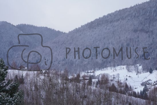 Photomuse.net a romanian stock photography start-up since 2021